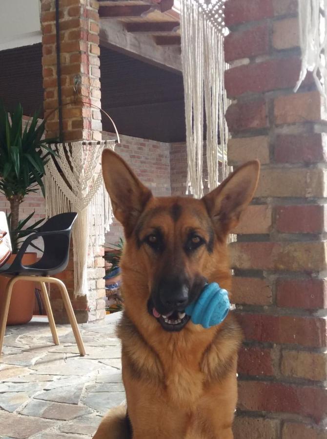 Dos Corceis Esposende