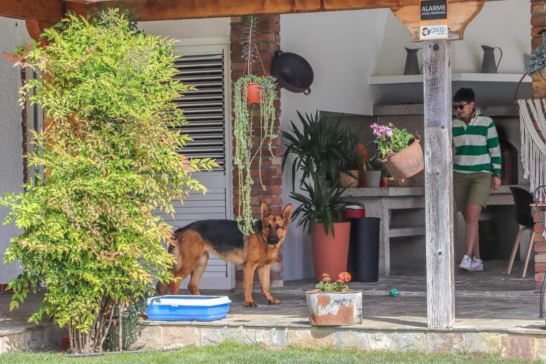 Dos Corceis * Esposende